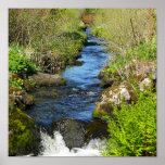 "Naturaleza de Fjeldspollen " Poster