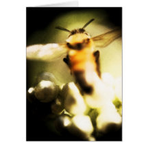 naturaleza de la abeja tarjeta