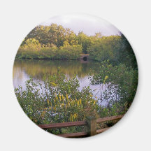 Naturaleza Imanes