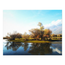 naturaleza foto