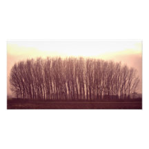 naturaleza fotografia