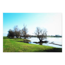 naturaleza arte fotográfico