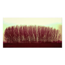 naturaleza impresion fotografica