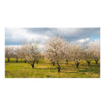 naturaleza fotografias