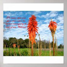Naturaleza Poster