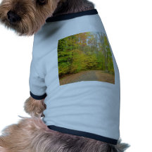 naturaleza ropa para mascota