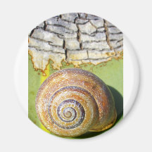 NatureArt 1 Magnete