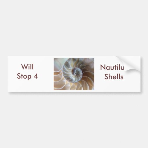 Nautilus interior pegatina de parachoque