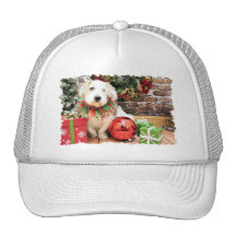 Navidad - Basset Hound X - Maggie Gorro