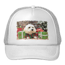 Navidad - Bichon Frise X - Bella Gorro