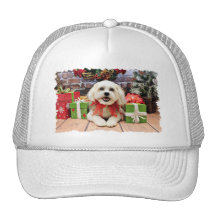 Navidad - Bichon X - Bella Gorro