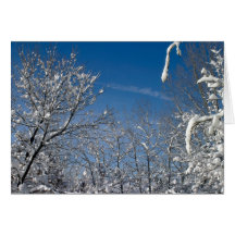 Navidad blanco felicitación