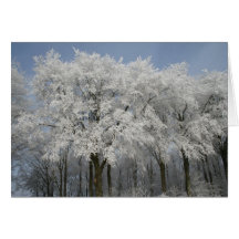 Navidad blanco tarjeton