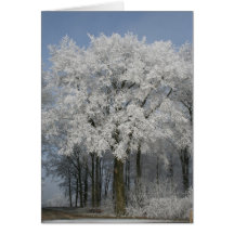 Navidad blanco tarjeton