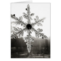 Navidad blanco y negro del copo de nieve felicitación
