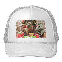 Navidad - boxeador X - Kita Gorros