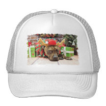 Navidad - boxeador X - Kita Gorros Bordados