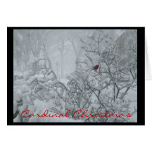 Navidad cardinal tarjeton