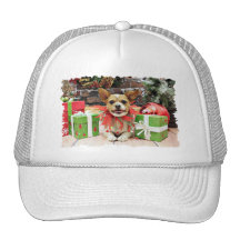 Navidad - chihuahua X - afortunado Gorros