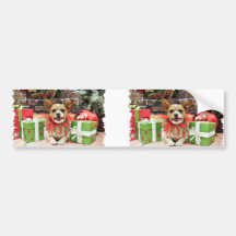 Navidad - chihuahua X - afortunado Etiqueta De Parachoque