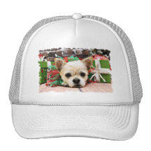 Navidad - chihuahua X - Callie Gorras De Camionero