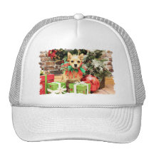 Navidad - chihuahua X - tipo Gorros