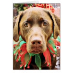 Navidad - chocolate Labrador - Hershey Felicitaciones
