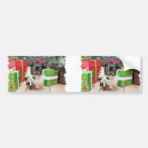 Navidad - Choxie - Sr. Scruffles Pegatina De Parachoque