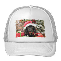Navidad - cocker spaniel X - pimienta Gorro
