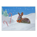 Navidad, conejo, nieve, bastones de caramelo felicitación