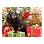 Navidad - Dachshund - Zoey Postales
