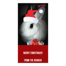 NAVIDAD DE FUNNEH BUNNEH TARJETAS FOTOGRÁFICAS 