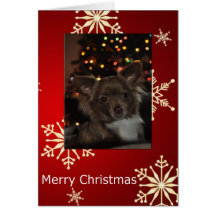 Navidad de la chihuahua tarjetón