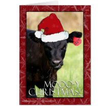 ¡Navidad de Moooo-y! Tarjeta