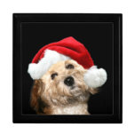Navidad del caniche caja de recuerdo
