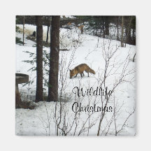 Navidad-Fox de la fauna Imanes
