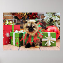 Navidad - gato Himalayan - pensamiento Impresiones