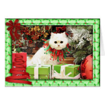 Navidad - gato persa - Toby Felicitacion