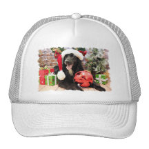 Navidad - golden retriever X - Colby Gorro De Camionero