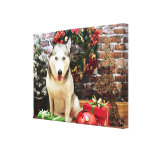 Navidad - husky siberiano - retratos de Teagarden Lona Envuelta Para Galerías