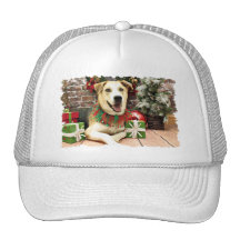 Navidad - husky siberiano X - Harley Gorros