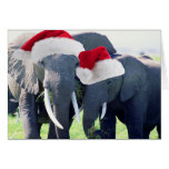 Navidad inolvidable del elefante tarjetas
