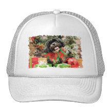 Navidad - LhasaShih - Molly Gorras De Camionero
