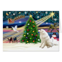 Navidad Magic-Kuvasz-2 Felicitaciones