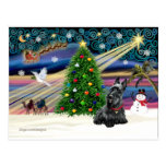 Navidad MAGIC-Scottie2B Postal