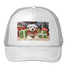 Navidad - maltés - grillo gorro