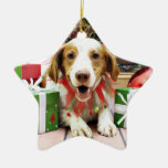 Navidad - perro de aguas de Bretaña - Kinnick Ornato