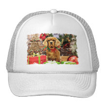 Navidad - perro de aguas de rey Charles arrogante  Gorros Bordados