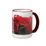 Navidad Pointsettia Taza De Café