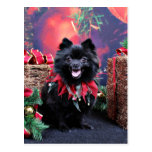 Navidad - Pomeranian - Mazie Tarjetas Postales